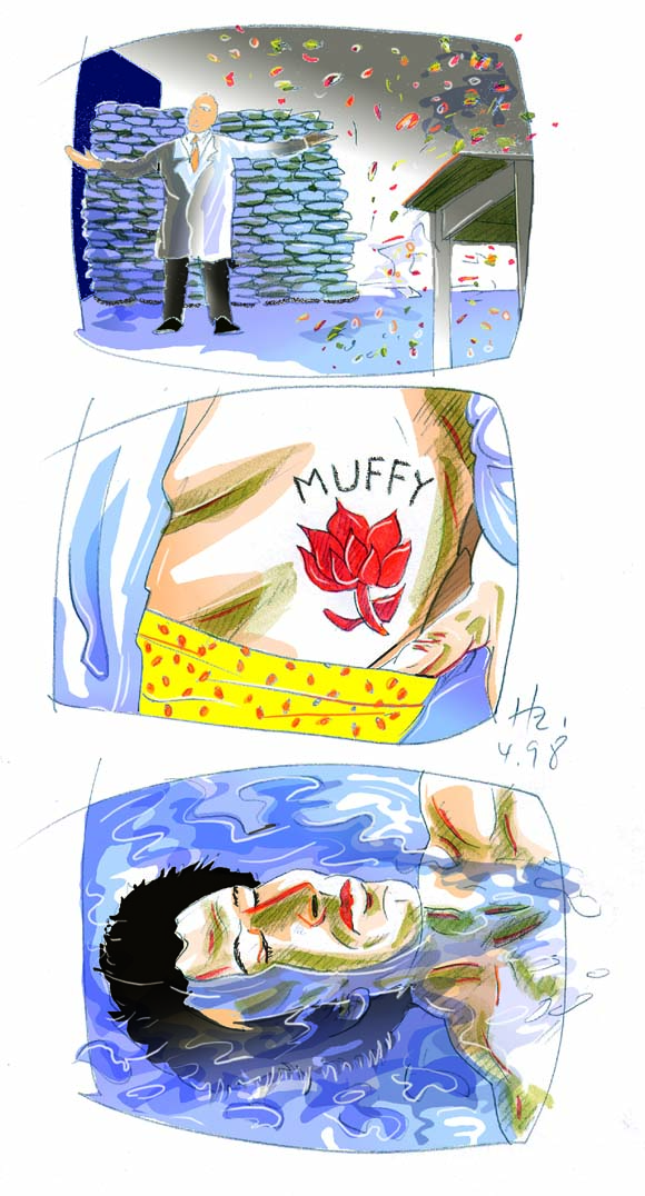 Muffy's rose