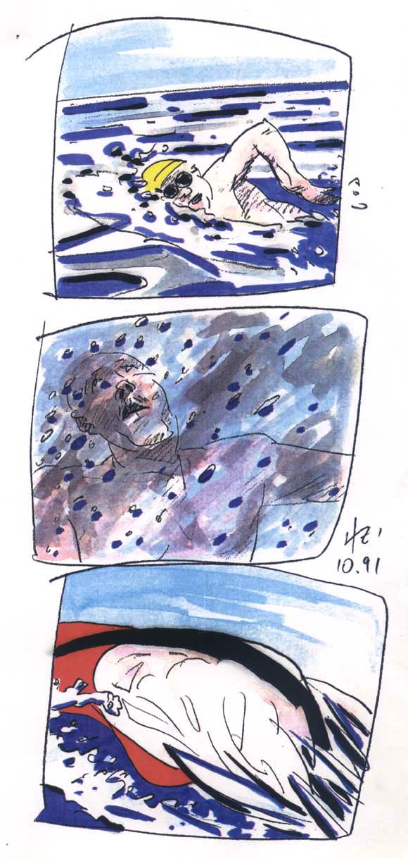 Kein Delphin in der N&auml;he